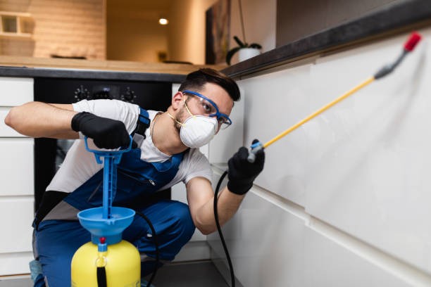 Best Pest Removal Services  in Livonia, LA