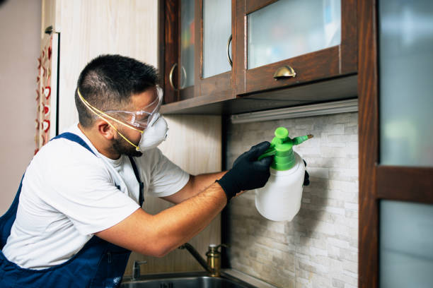 Trusted Livonia, LA Pest Control Experts
