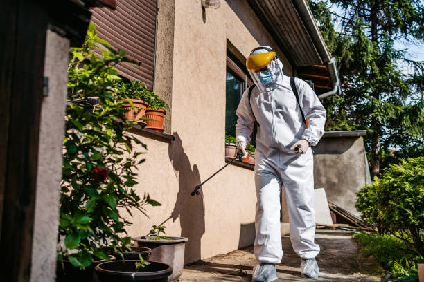 Best Exterminator Services  in Livonia, LA