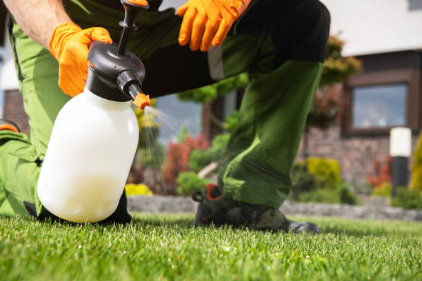 Best Rat Extermination Near Me  in Livonia, LA