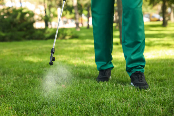 Best Wasp Removal Services  in Livonia, LA