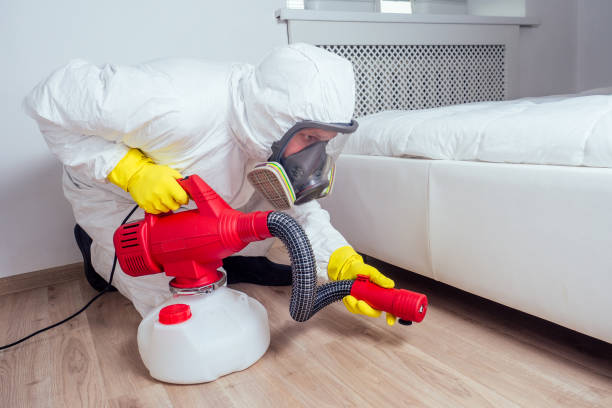 Best Rat Extermination Near Me  in Livonia, LA