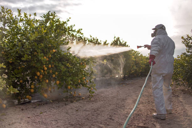 Flea Control Services in Livonia, LA