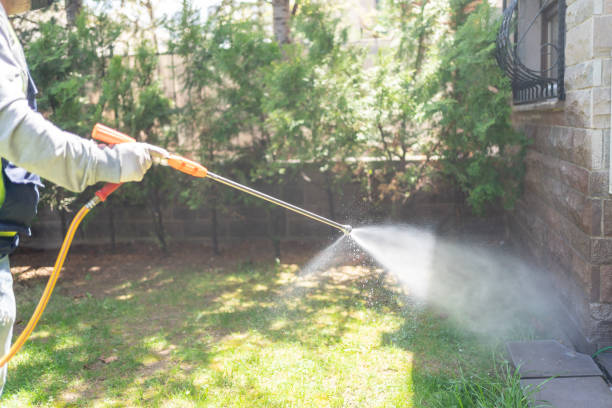 Best Bed Bug Extermination  in Livonia, LA
