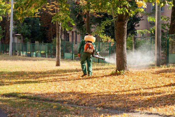 Best Wildlife Control Services  in Livonia, LA
