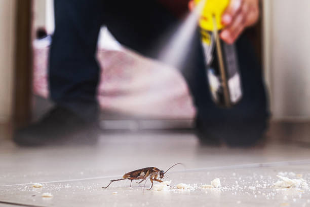 Best Bed Bug Extermination  in Livonia, LA