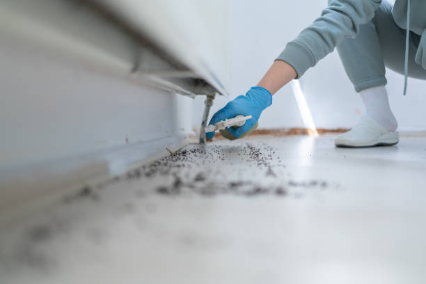 Best Pest Removal Services  in Livonia, LA